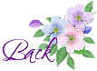 Back to our original web site.